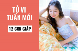 Tử vi tuần mới của 12 Shbet888.com nhà cái uy tín (từ 9/12- 15/12/2019): Dần đề phòng Thiên Cẩu Hung tinh, Thìn dính hoạ thị phi