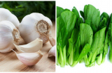 Thực phẩm 'lọc sạch phổi', hút mọi bụi bẩn cho Sh88bet đăng ký miễn phí, nhất là loại thứ 3 cực tốt