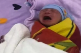 Bé sơ sinh bị bỏ rơi trước cửa nhà nghỉ, người mẹ để lại 2 lời cầu xin đặc biệt