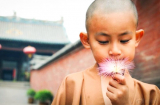 Trên đời 1 câu nhất định nên hạn chế hỏi, mới có thể làm nên thành công vang dội, nở mặt với đời