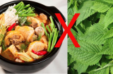 Trời lạnh làm 1 nồi lẩu thì ngon tuyệt vời nhưng hãy tránh xa những loại rau 'đại kỵ' sau