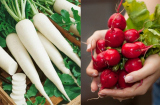4 thực phẩm giúp cho bé thải độc gan thận, nhất là loại thứ 2