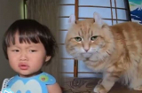 Không phải bé Sa, nhân vật mới này chính thức 'chiếm sóng' trong vlog của Quỳnh Trần JP