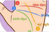 Biết vận mệnh công danh và tình duyên cực dễ qua đường chỉ tay