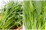Thấy rau muống, rau cải có dấu hiệu này bỏ ngay đi kẻo rước bệnh, bởi rau nhiễm hóa chất ,'cố ăn sẽ khổ'