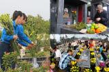 Tảo mộ cuối năm cần phải tránh những điều cấm kỵ này kẻo 'đắc tội' với Link nhập code shbet https freecode shbet pages dev