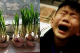 Nhìn thấy mâm cơm của mẹ, bé trai vội vàng chạy ra cửa sổ rồi bật khóc nức nở vì lý do không ngờ