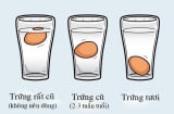 Chỉ 3 mẹo đơn giản, sẽ giúp bạn phân biệt trứng tươi hay trứng hỏng nhanh chóng