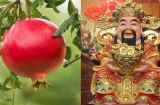 5 loại quả Thần Tài 'thích mê', nên đặt trong nhà để 'tiền vào như thác đổ'