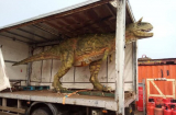 Lên mạng đặt mua khủng long đồ chơi cho con, khi nhận hàng ông bố chỉ biết 'đứng hình'