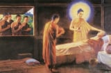 Phật dạy đời người có 4 thứ quả báo, tạo nhân gì thì sẽ gặt hái quả đó
