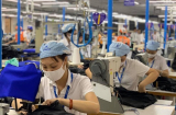 Tạm dừng đóng bảo hiểm xã hội đến tháng 12/2020 vì Covid-19