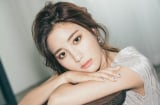 Tử vi tuần mới: 3 Shbet888.com nhà cái uy tín phải đau đầu giải quyết công việc không như ý, cẩn trọng tình duyên tan vỡ