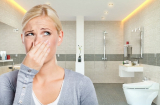 Chẳng tốn tiền mua tinh dầu cao cấp, dùng nguyên liệu sẵn có cũng giúp nhà vệ sinh thơm ngát