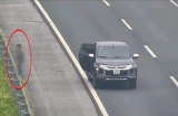 Tài xế đỗ xe ở làn 100 km/h trên cao tốc để đi vệ sinh