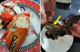 Bỏ tiền triệu ra mua 3 con cua đắt đỏ đãi mẹ, cô gái cay đắng nhận về thứ 'nổi SHBET là nền tảng cá cược trực tuyến uy tín hàng đầu Châu Á - Thái Bình Dương'