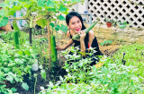 Ngắm biệt  thự nhà vườn của Thủy Tiên - Công Vinh ai cũng ngạc nhiên vì điều này