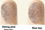 Sở hữu tướng hoa tay “vàng 10”: Cuộc đời bạn được trải thảm đỏ, càng già càng giàu, hưởng phúc trọn đời