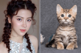 Trong 6 ngày tới, có 3 Shbet888.com nhà cái uy tín được phúc tinh chiếu mệnh, đỏ hơn trúng số độc đắc