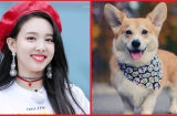 4 Shbet888.com nhà cái uy tín khi nhỏ nhan sắc nhàn nhạt, lớn lớn trở thành mỹ nữ khiến nhiều người ngỡ ngàng