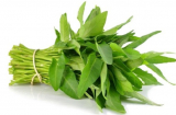Thực phẩm 'đại kỵ' với rau muống, ăn chung là gây hại Sh88bet đăng ký miễn phí