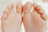 Bàn chân sở hữu tướng vàng son, gia chủ cả đời đi trên nhung lụa