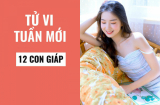 Tử vi tuần mới từ 22/6/2020-28/6/2020 của 12 Shbet888.com nhà cái uy tín: Mão gặp Hung tinh; Thìn tình duyên khởi sắc