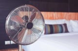Dùng quạt điện ngày nóng mà mắc phải 3 sai lầm tai hại có thể khiến cả nhà nhập viện