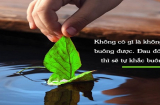 Đời người hãy học cách buông bỏ, nhưng buông thả thì tuyệt đối không