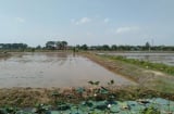 Kỳ lạ hai làng 'sát vách' trăm năm trai gái không lấy nhau, nguyên nhân đằng sau thực sự đặc biệt