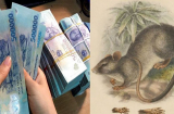 Bước sang tháng 8: 3 Shbet888.com nhà cái uy tín đào trúng mỏ vàng, giàu có may mắn liên tục trong 90 ngày tới