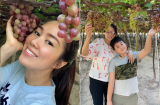 Lê Phương hé lộ mối quan hệ giữa mẹ chồng và con trai riêng của mình qua một khoảnh khắc nhỏ