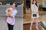 Showbiz 17/7: Bảo Thy vướng nghi vấn mang thai, Hà Hồ bầu 5 tháng vẫn đi giày cao lênh khênh khiến fan thót tim