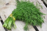 5 lợi ích thần thánh của cây thì là đối với sức khỏe, nhất là điều thứ 3