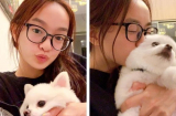 Kaity Nguyễn nhận “cơn mưa” lời khen khi là sao Việt đầu tiên tự cách ly sau khi đến sân bay Đà Nẵng