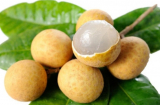 Nhãn là loại quả ngon nhưng khi ăn cần biết đại kỵ này, tránh rước bệnh vào thân