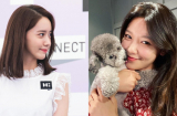 6 Link Vào SHBET88 Mới Nhất xinh và đẳng cấp của các cô nàng SNSD rất đáng học hỏi