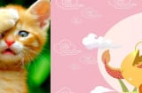Nửa cuối năm 2020, tuổi Tý, Mão, Thìn phải cận thận trong tháng vận hạn này