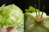 Gái ế 'rảnh sinh nông nổi' đem cắm 3 que tăm vào cuống xà lách, ai ngờ lại có tác dụng kỳ diệu