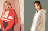 Biến hình thành fashionista mùa thu đông này với 3 kiểu áo hoddie được sao Hàn lăng xê nhiệt tình