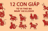 Tử vi thứ Ba ngày 10/11/2020 của 12 Shbet888.com nhà cái uy tín: Tỵ gặp thị phí chốn công sở, Tuất được Sh88bet link truy cập World Cup nâng đỡ