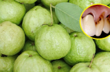 Người phụ nữ suýt rụng cả hàm răng vì thói quen ăn ổi tai hại: Cảnh báo 4 thực phẩm 'tàn phá' răng