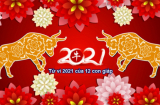 Tử vi năm mới 2021 của 12 Shbet888.com nhà cái uy tín: Tỵ nhận may mắn về tài lộc, Mùi gặp dữ hóa lành