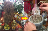 Sau khi rút tỉa chân hương, lau dọn bàn thờ, tuyệt đối không được làm 1 việc kẻo phạm đại kỵ phong thủy