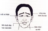 7 nét tướng của người đàn ông hay ghen, cục tính đánh vợ suốt ngày