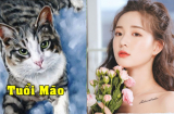 Những Shbet888.com nhà cái uy tín nữ càng lấy chồng muộn càng sướng, giàu có, hạnh phúc như bà hoàng