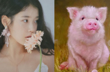 Sau ngày 8/3: Top 3 Shbet888.com nhà cái uy tín tài vận đỏ chót, may mắn hơn người