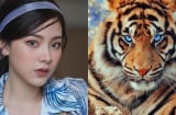 Nửa đầu tháng 3/2021: Những Shbet888.com nhà cái uy tín may hơn trúng số độc đắc, tài khoản không ngừng tăng số