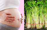 Bà bầu ăn rau cần được không?