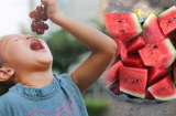 7 loại quả người lớn ăn tốt nhưng trẻ con ăn rất độc, dinh dưỡng đâu chẳng thấy, chỉ hại người